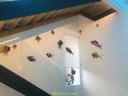 Exposición de Flyppy 2023